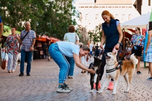 458608530_939271764908111_7757070410808900532_n